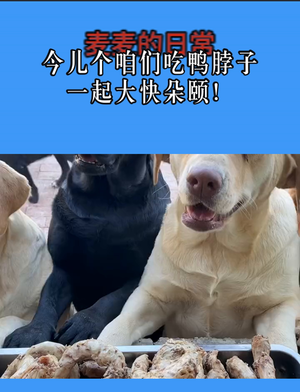 今儿个咱们吃鸭脖子,一起大快朵颐!