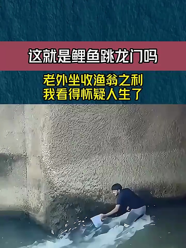 这难道就是鲤鱼跳龙门吗,老外坐收渔翁之利,看得我都怀疑人生了