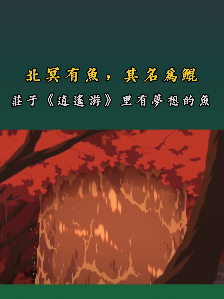 北冥有鱼,其名为鲲,不想变成鸟的鱼不是一只好鲲