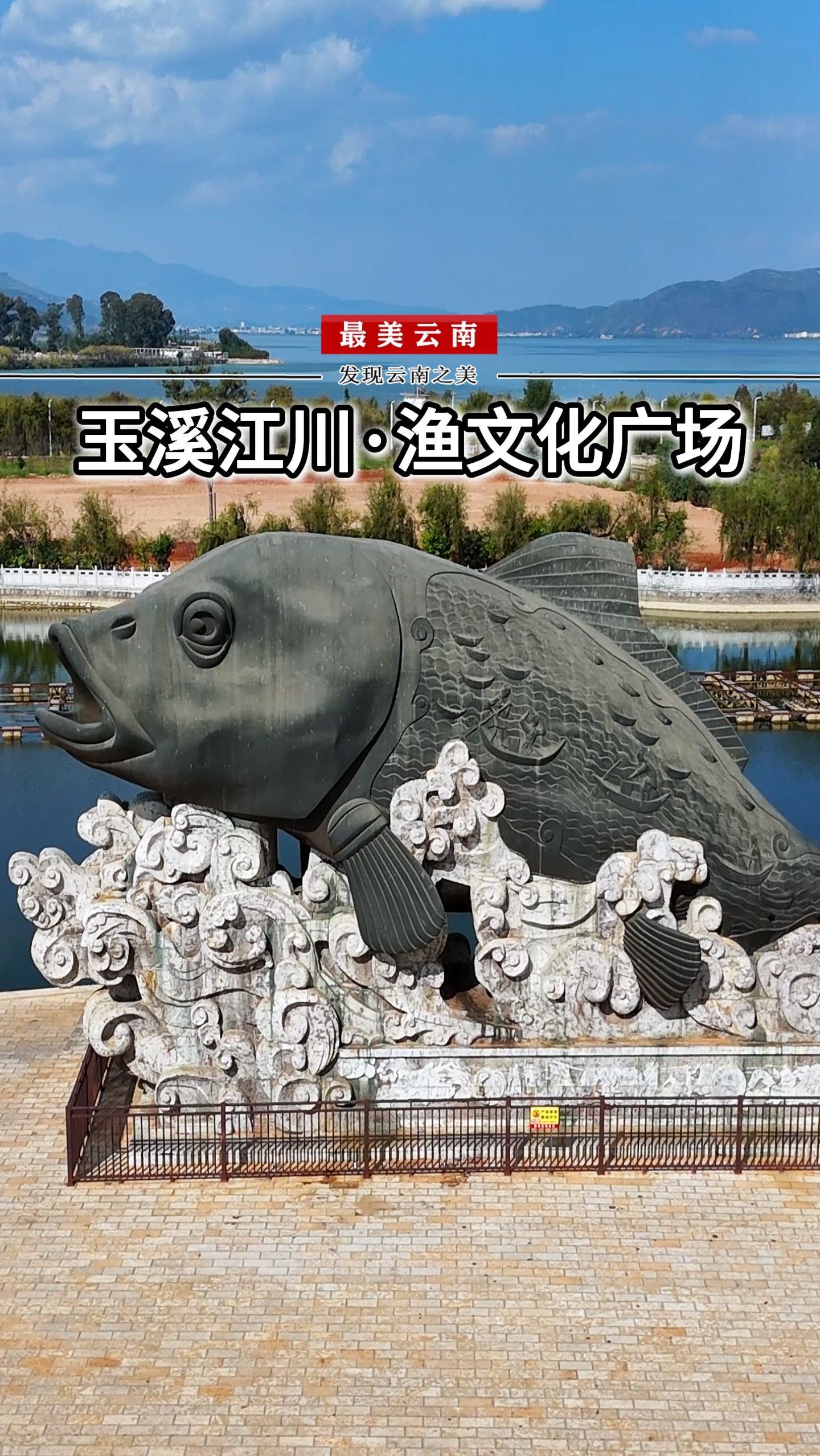 大头鱼,江川的文化名片和象征,凝聚了这片土地深厚的渔文化