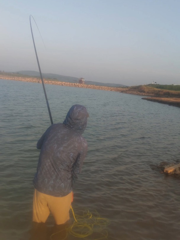 这鳙鱼有20+?7.2+5+4