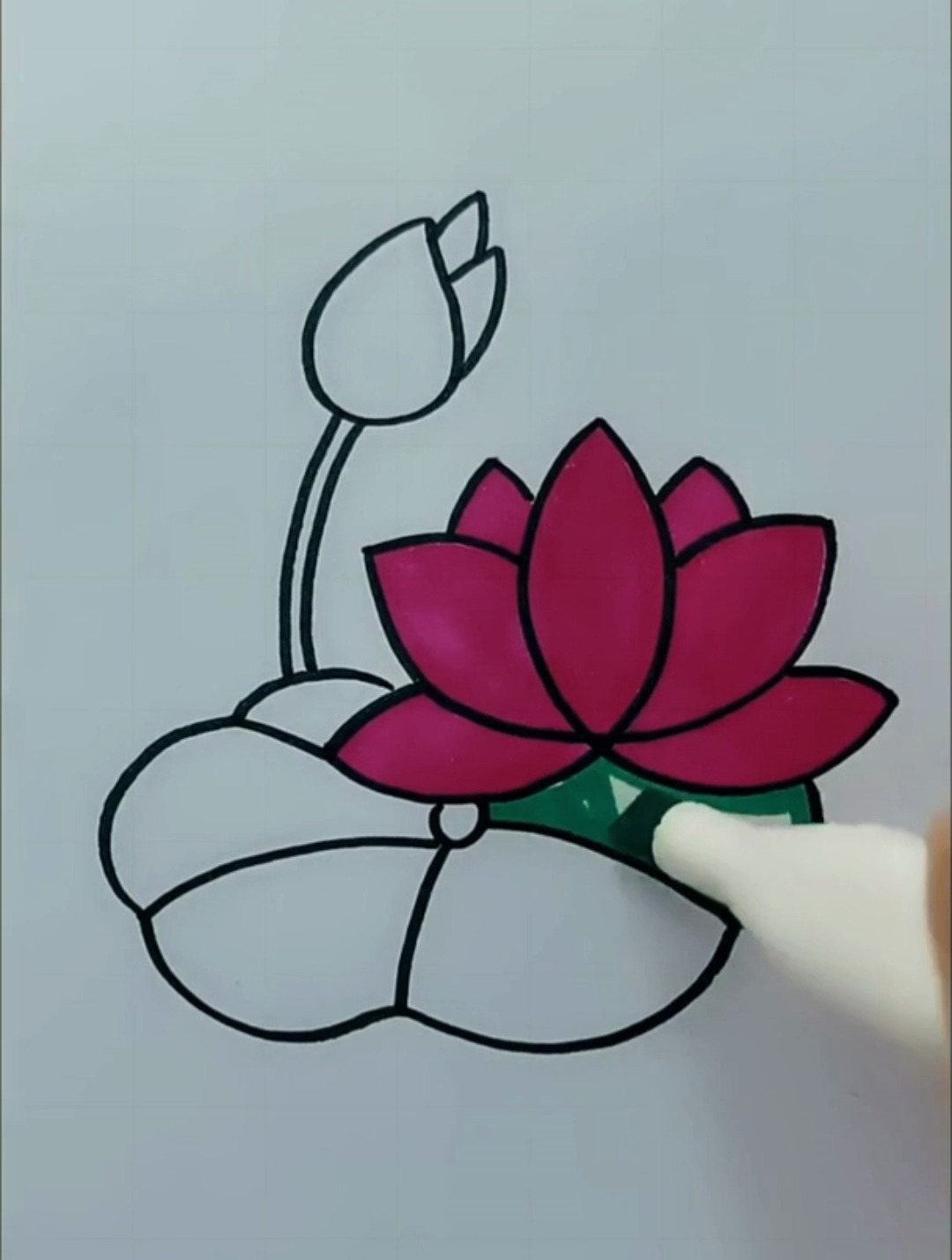 荷花简笔画,简笔画教学