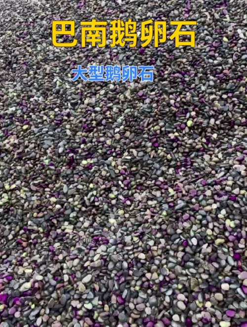 巴南大型鹅卵石 鹅卵石滤料生产厂家 地暖鹅卵石批发