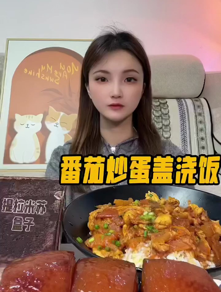 番茄炒蛋盖浇饭 红烧肉