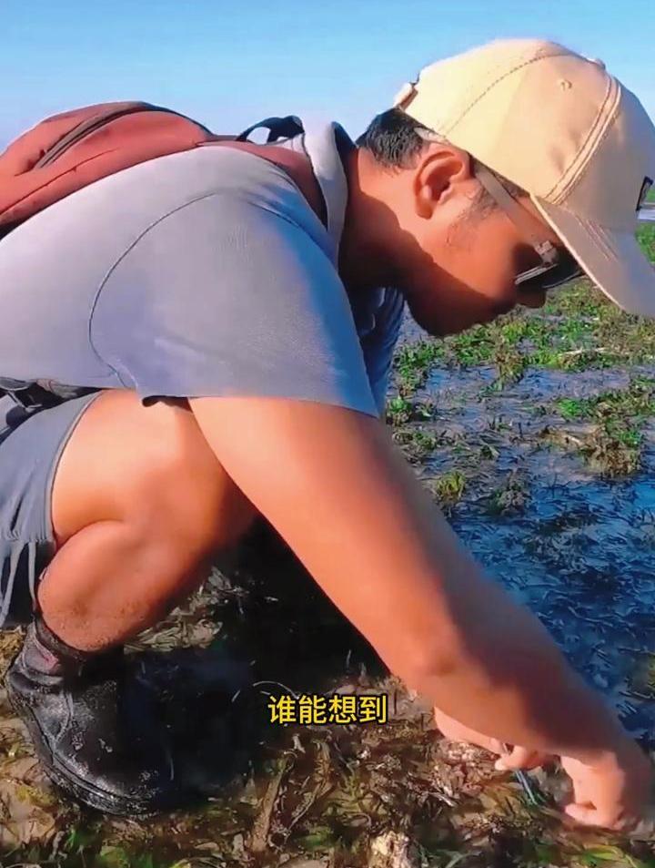 天价海鲜!男子意外钓起巨型皮皮虾,单价直逼500元一斤!