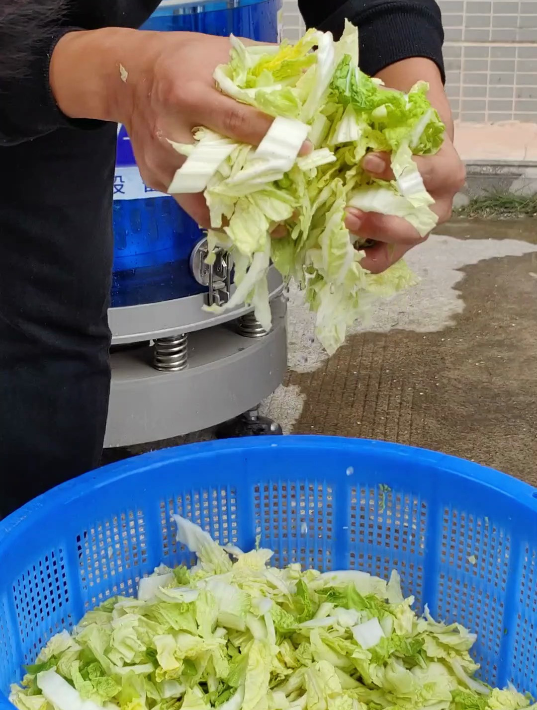 智能蔬菜脱水机,脱水时间和速度均可调,静音运行不损蔬菜