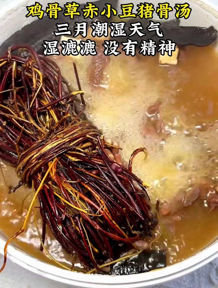 灵芝鸡骨草煲汤鸡骨草喝出来的健康