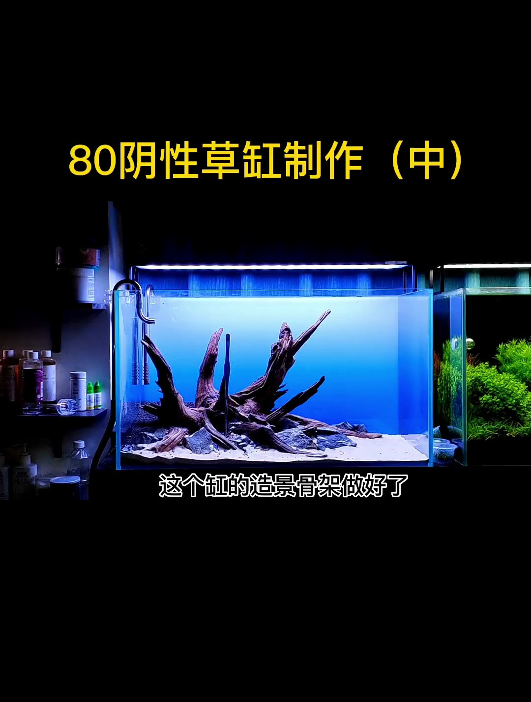 鱼缸沉木黄水问题不是一次性能解决的 慢慢来 水草造景鱼缸