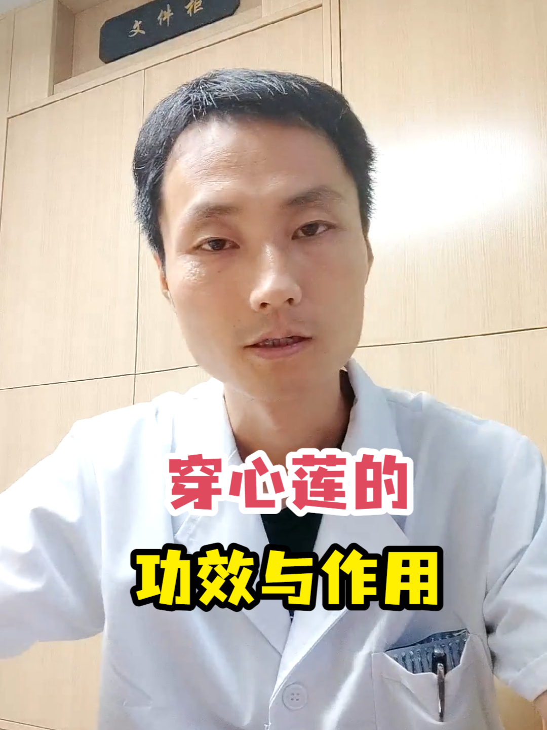 穿心莲的功效与作用