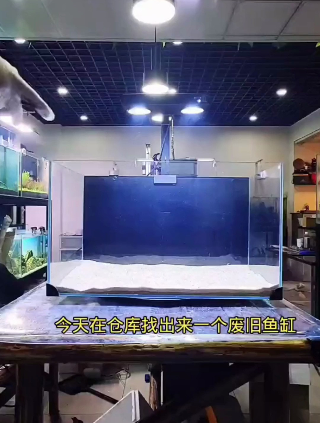 如何制作辣椒榕骨架?用一个废旧鱼缸,做个热带雨林风格的造景