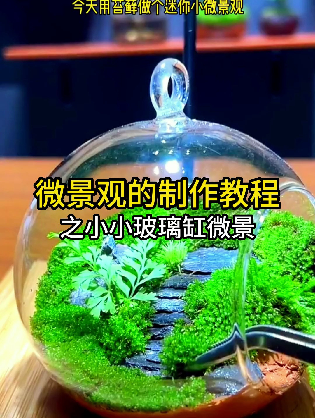 这个小小的玻璃瓶怎么用来作微景观?方法很简单看我操作就行!