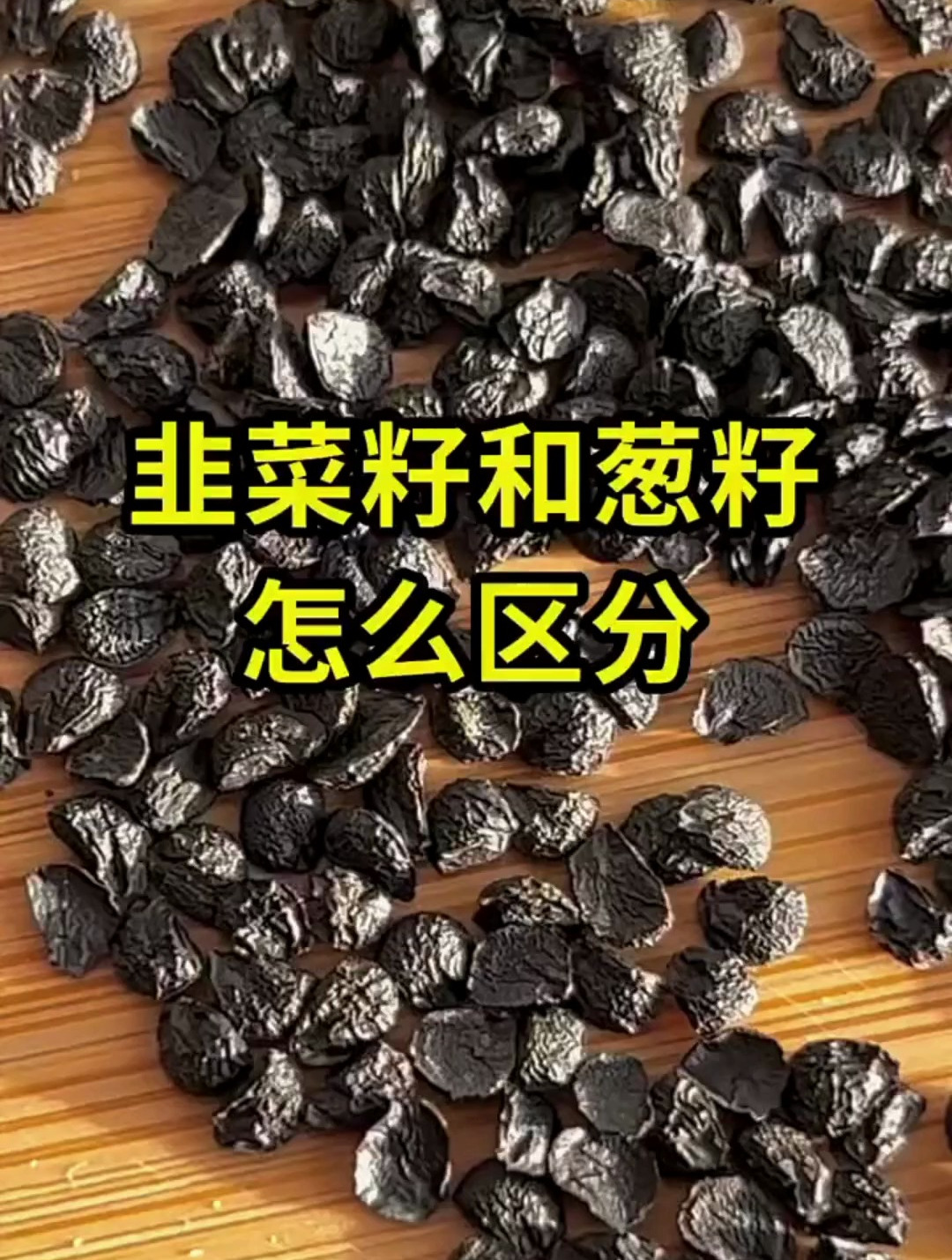 韭菜籽和葱子怎么区分