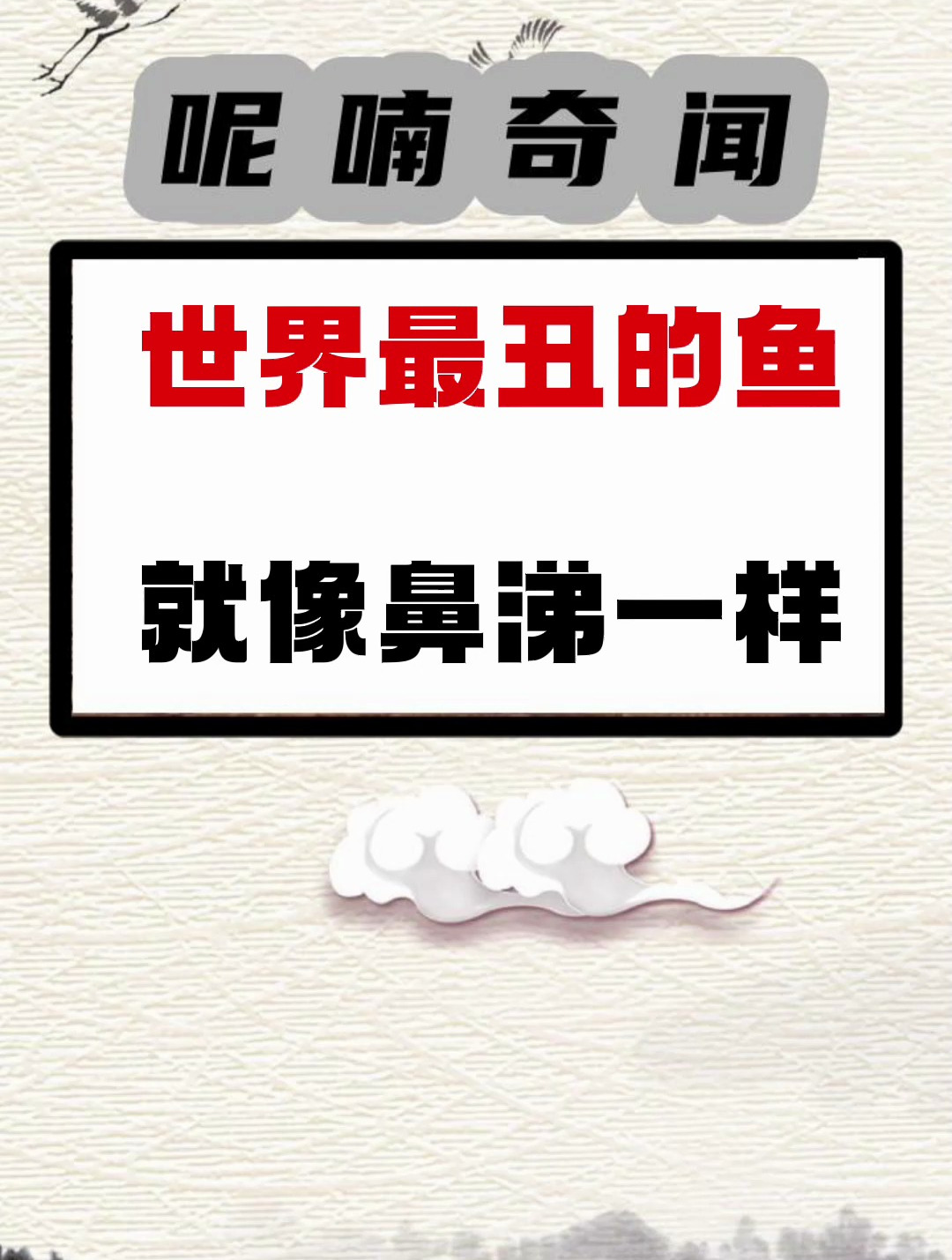 果然深海的动物 谁也看不见谁 都随便长长算了
