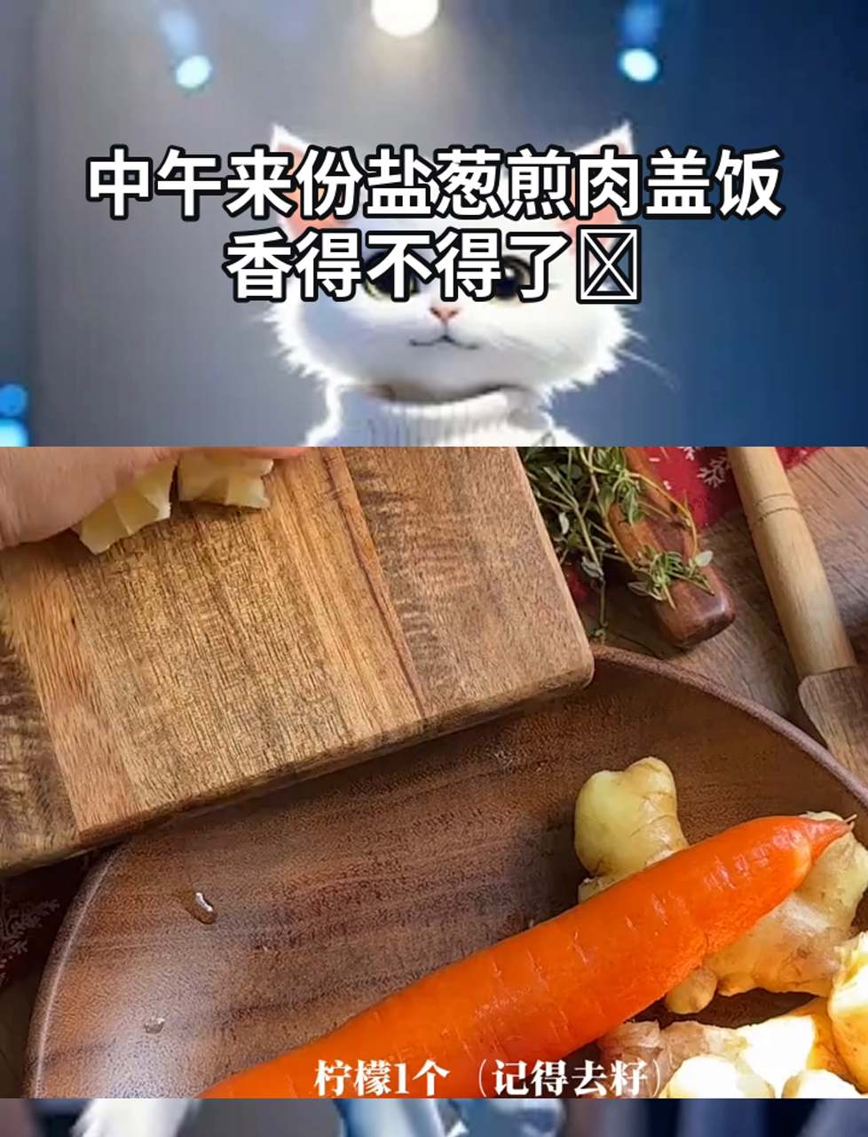 中午来份盐葱煎肉盖饭,香得不得了