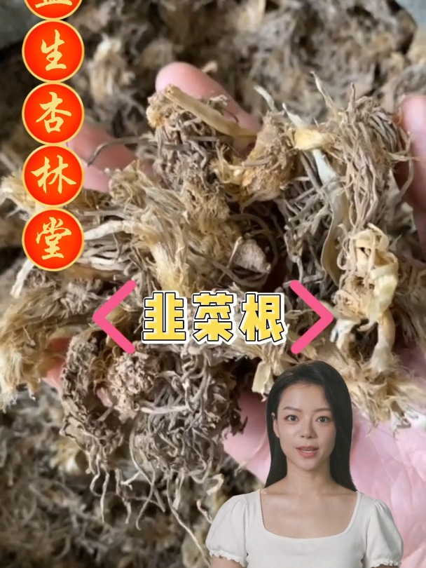 韭菜根的作用和选择,欢迎家人们了解