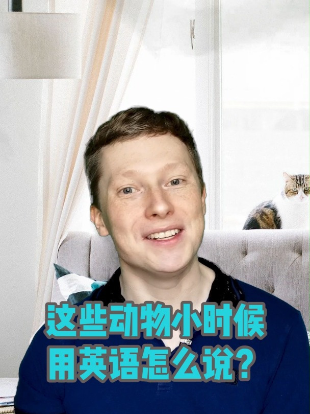 这些动物小时候用英语怎么说?