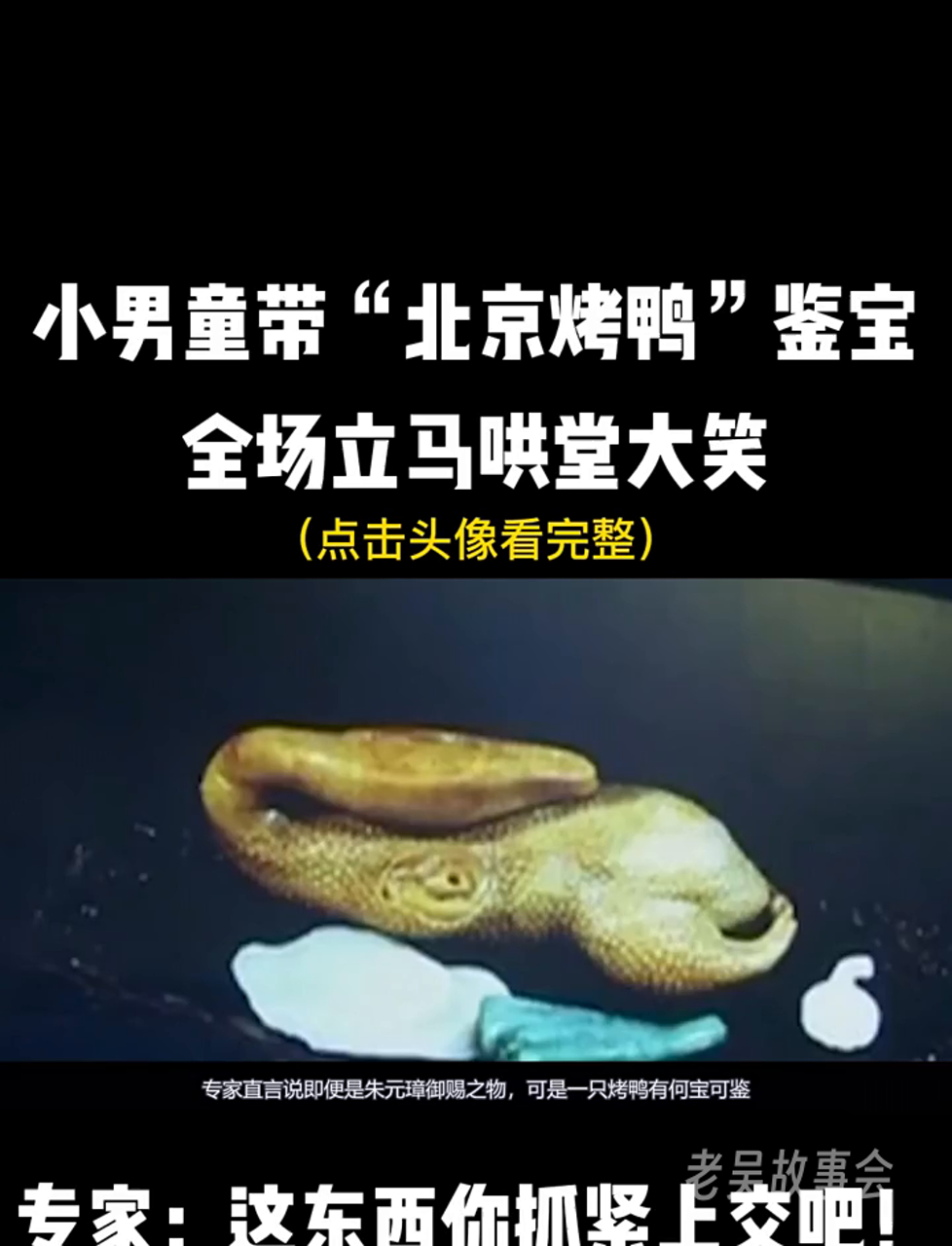 小屁孩拎着北京烤鸭来鉴宝,大家笑翻天,专家却喊:快上交!