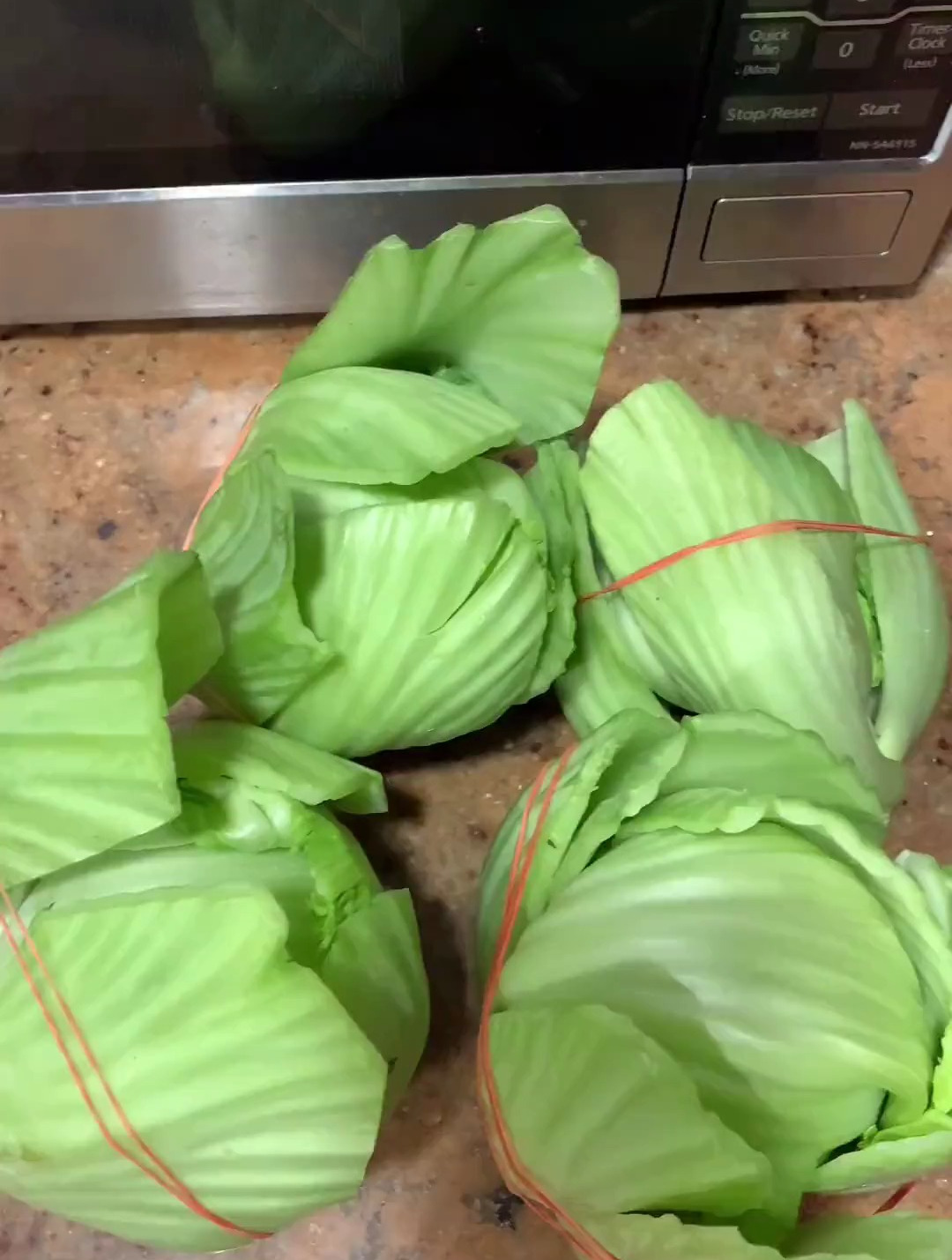 你们要的潮汕酸菜腌制过程来啦,真的不难,大家赶紧做起来