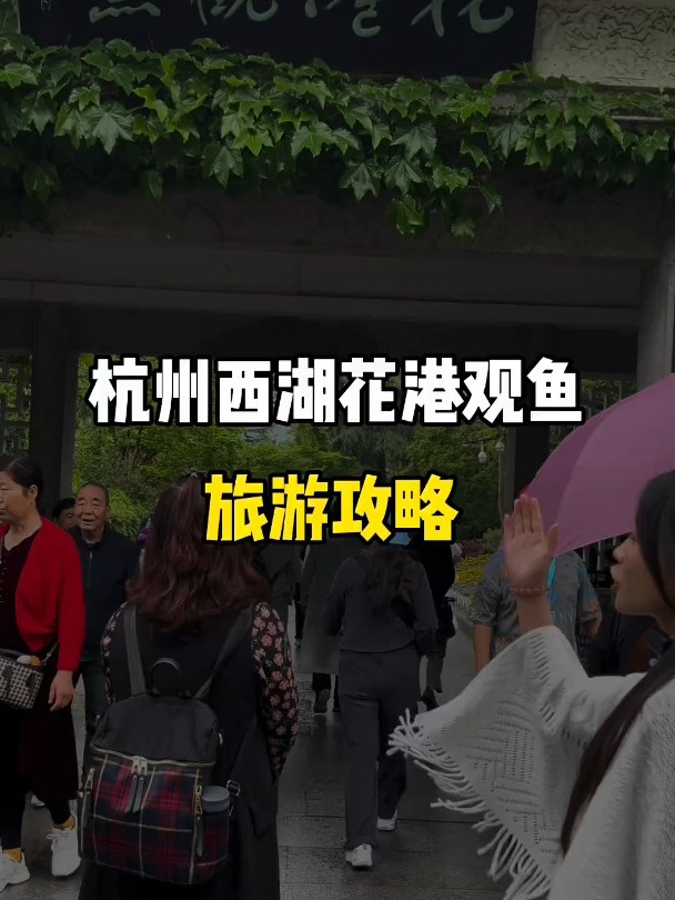 杭州西湖花港观鱼旅游攻略来啦!