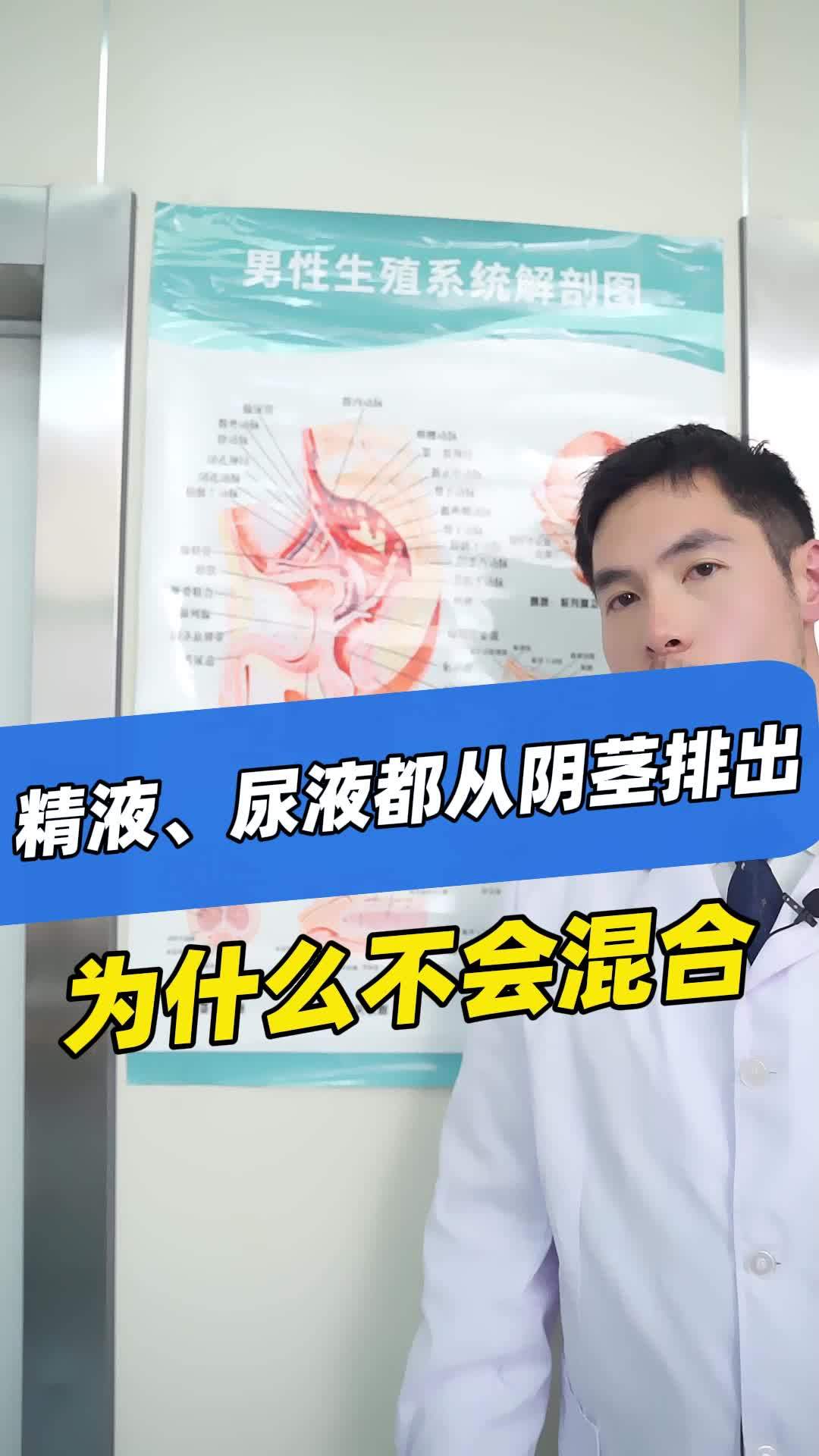 精液、尿液都从阴茎排出,为什么不会混合