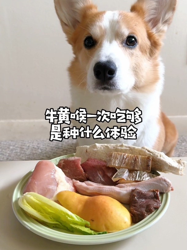牛黄喉一次吃够,是种什么体验?