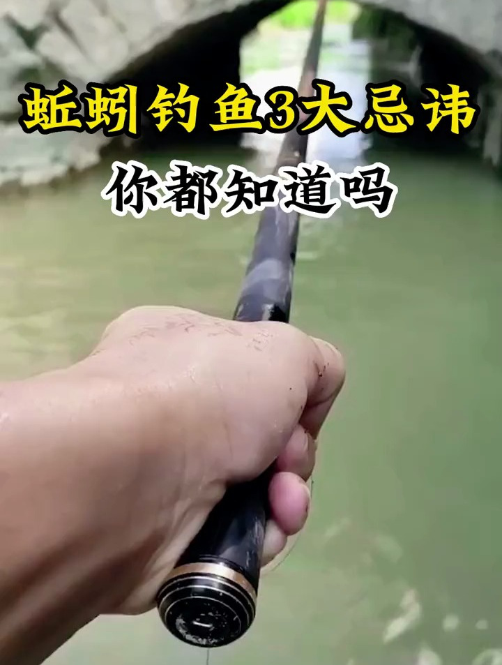 用蚯蚓钓鱼的三大忌讳,你都知道吗?