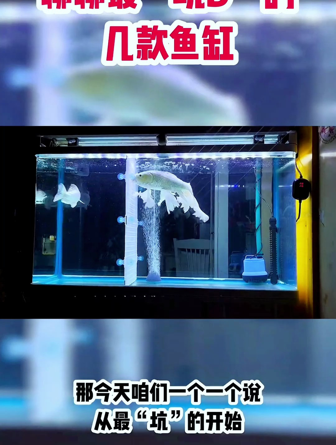 最坑的几款鱼缸你知道哪些?大家谨慎一点,整点正常的缸再养鱼!