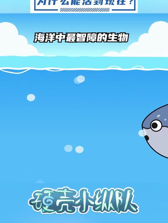 如果你觉得生活很难,那就看看翻车鱼吧