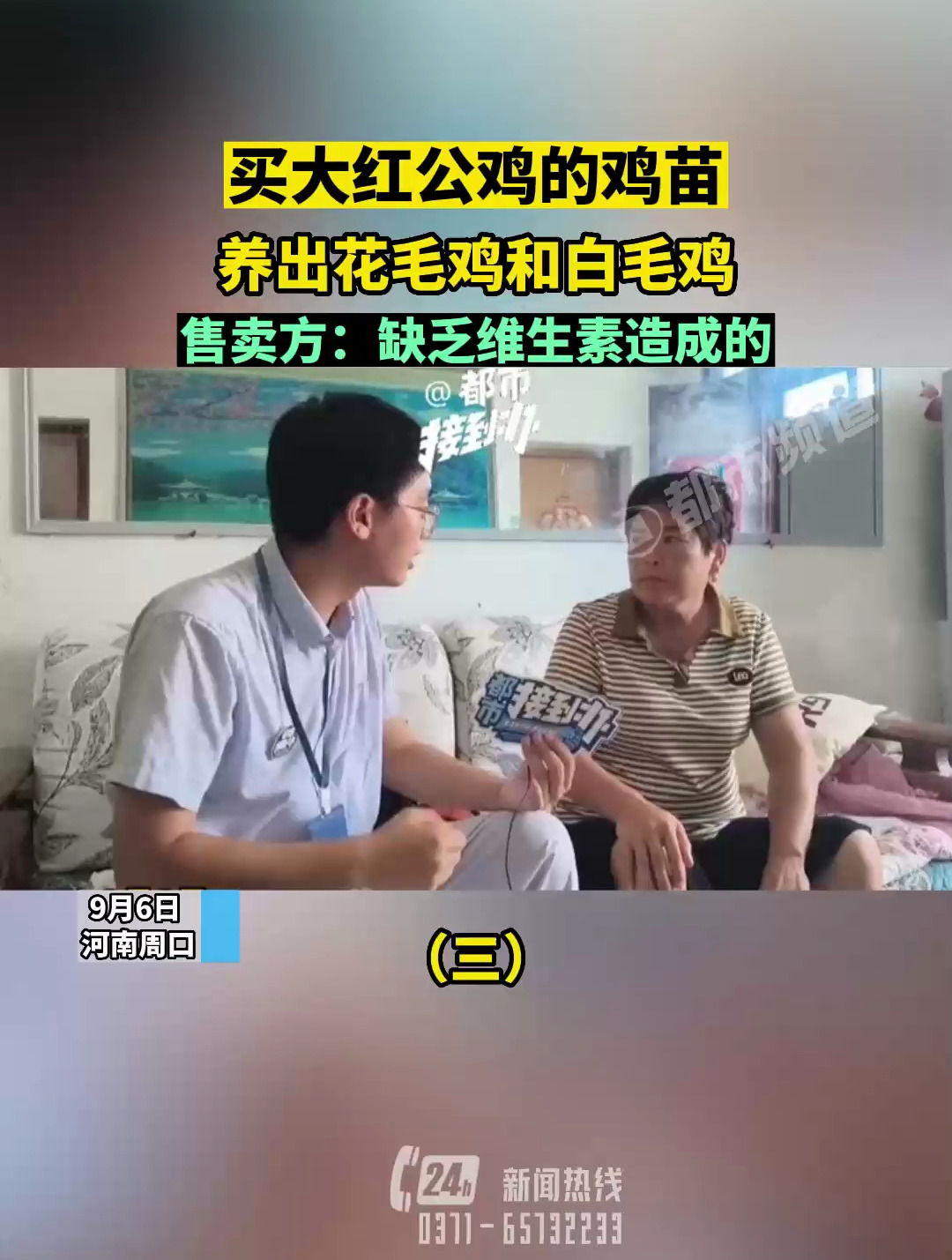 买大红公鸡的鸡苗,养出花毛鸡和白毛鸡,售卖方:缺乏维生素造成的