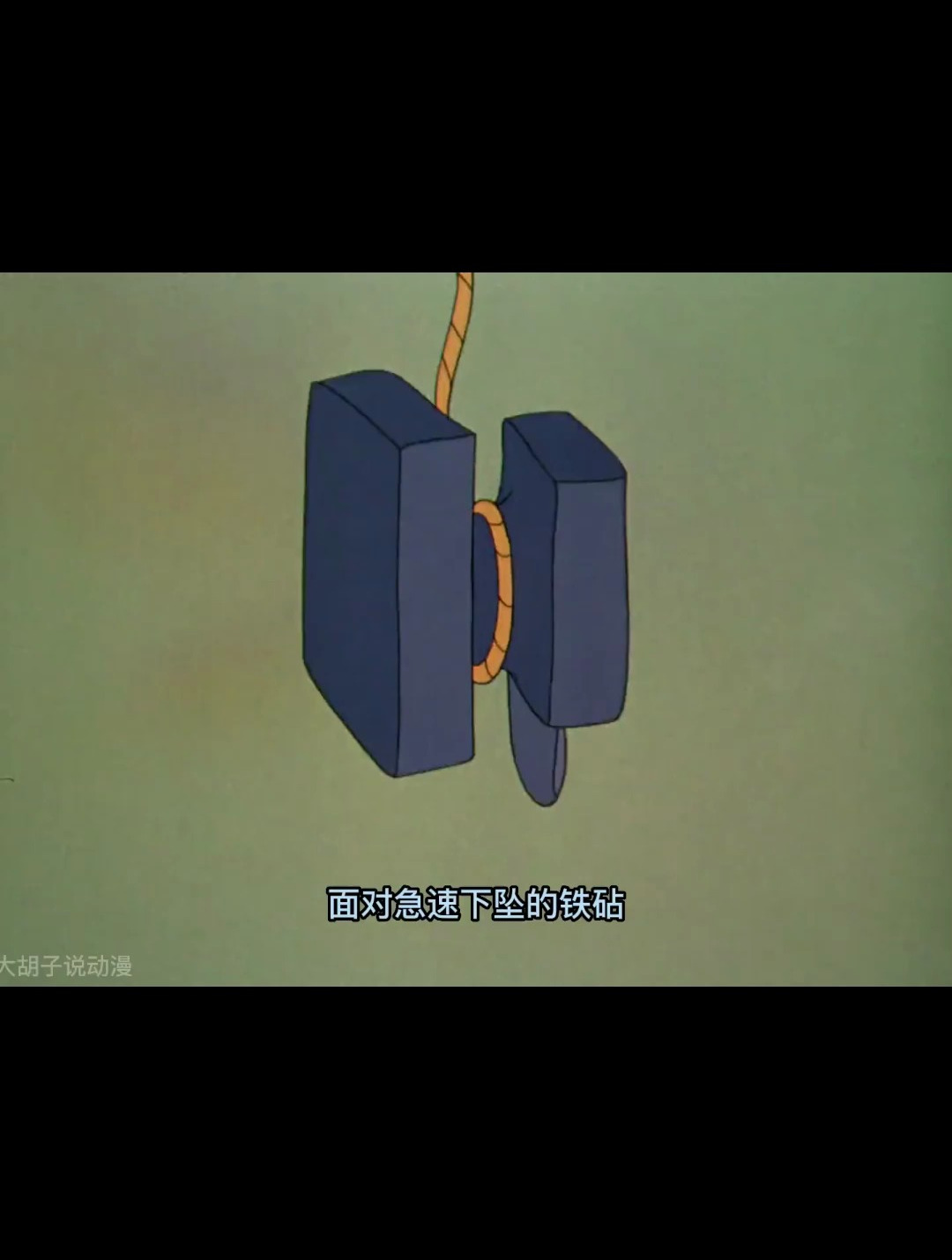 老猫不停的骚扰扁嘴鸭