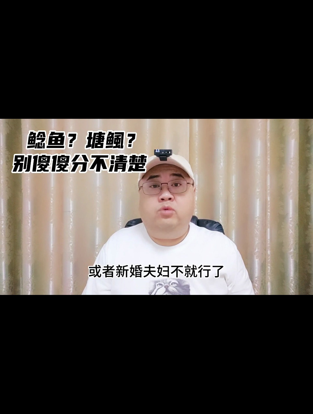 鲶鱼还是塘鲺?别再傻傻分不清啦!