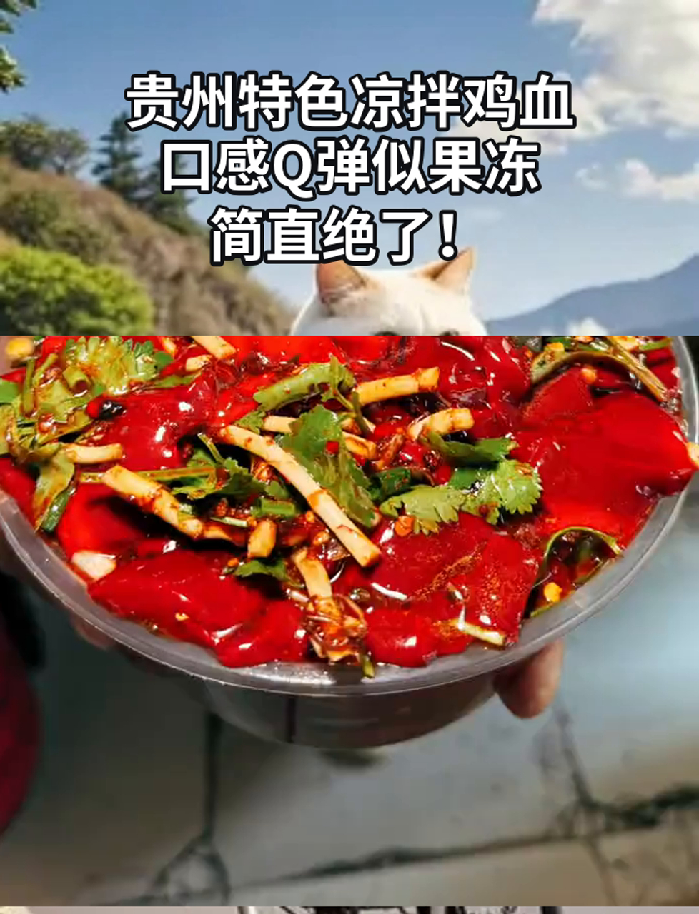 贵州特色凉拌鸡血,口感Q弹似果冻,简直绝了!