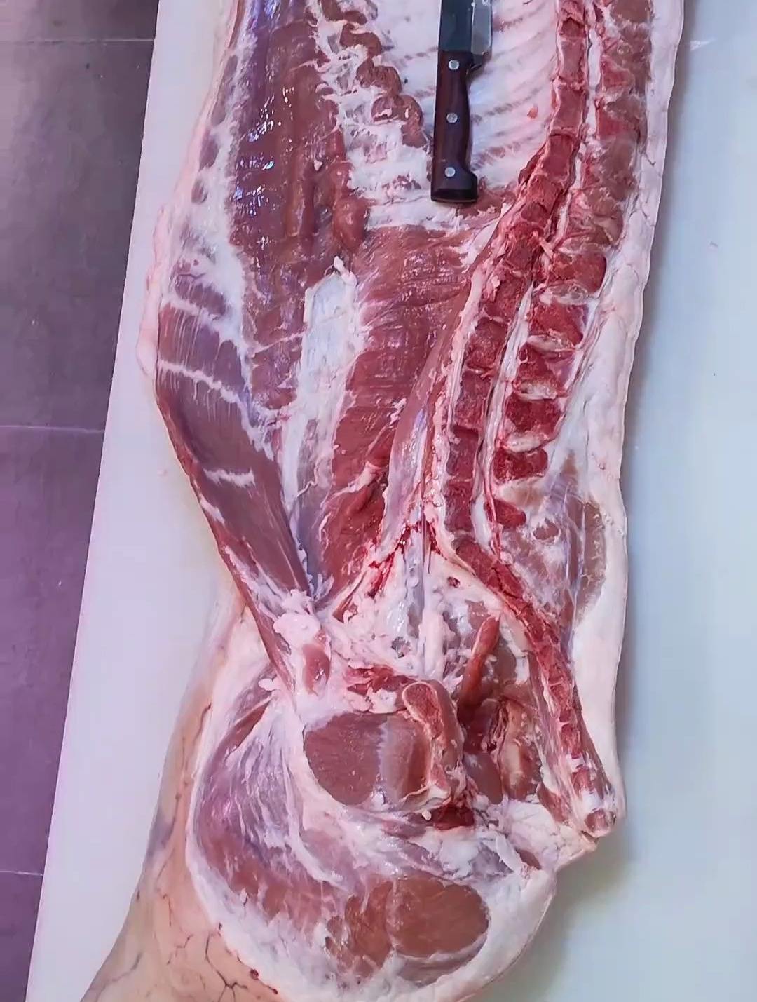 猪肉 分割 技巧