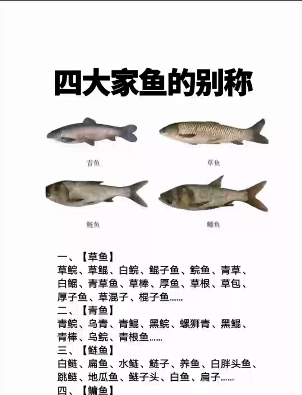 中国四大家鱼竟有这些别称!你家乡怎么叫?欢迎补充