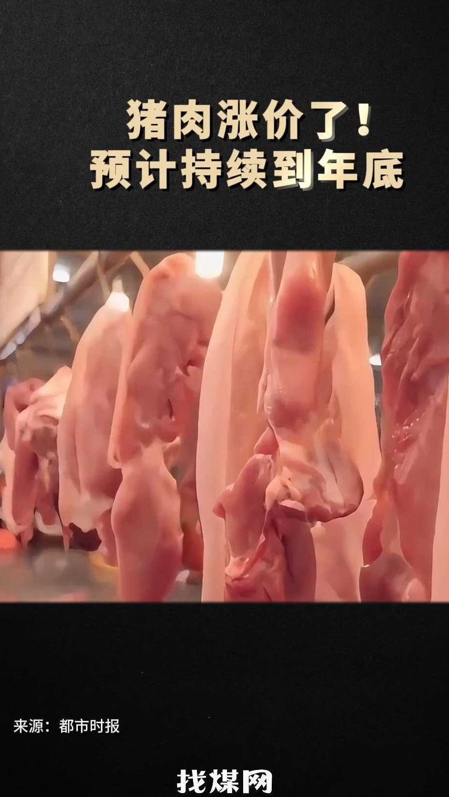 猪肉涨价了!预计持续到年底