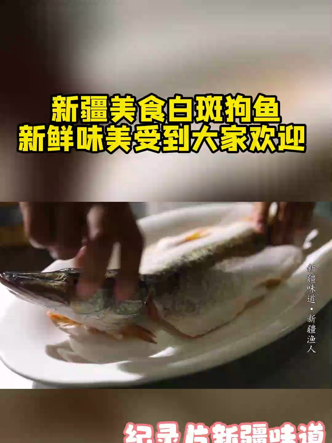 新疆美食白斑狗鱼,新鲜味美受到大家欢迎