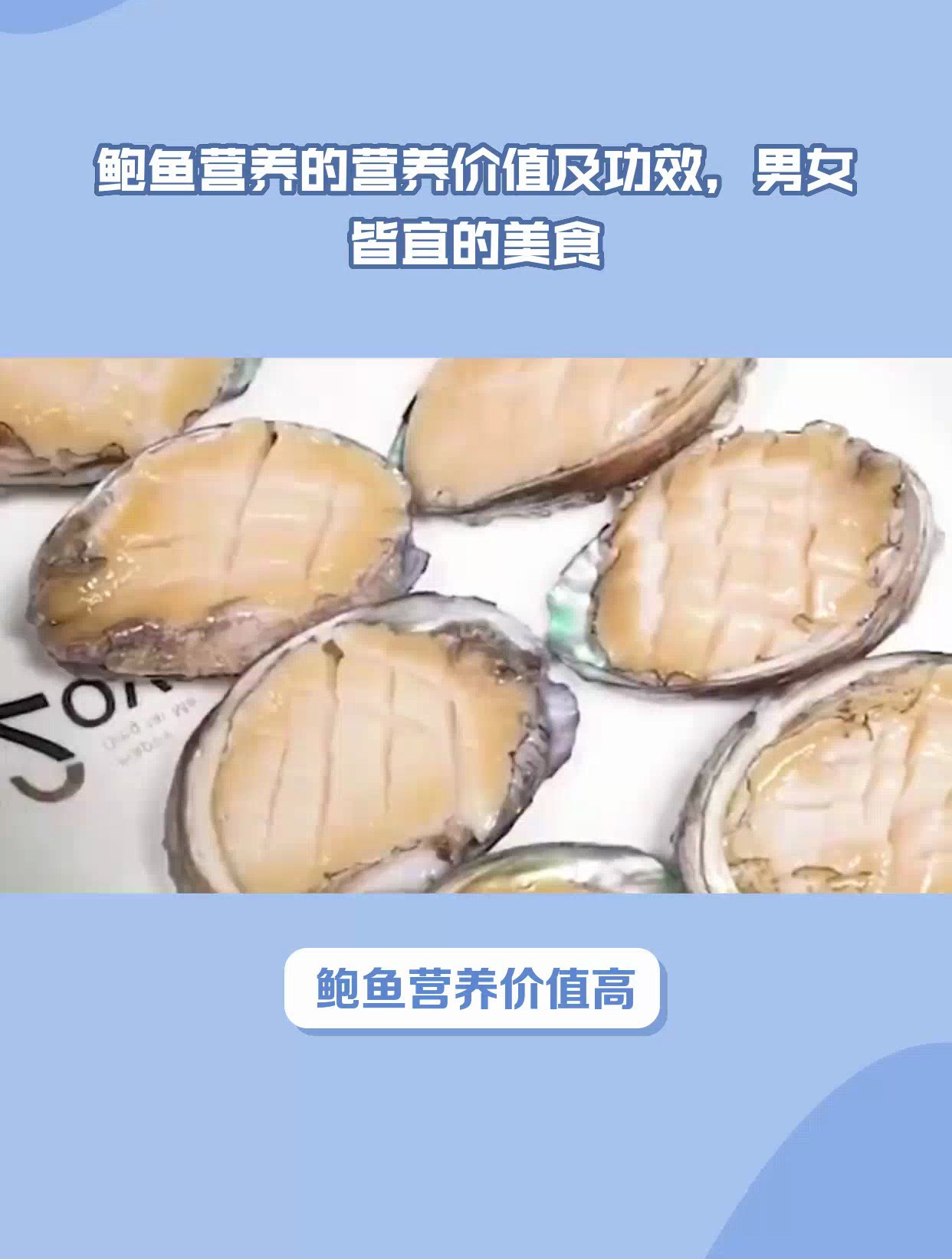 鲍鱼的营养价值及功效,男女皆宜