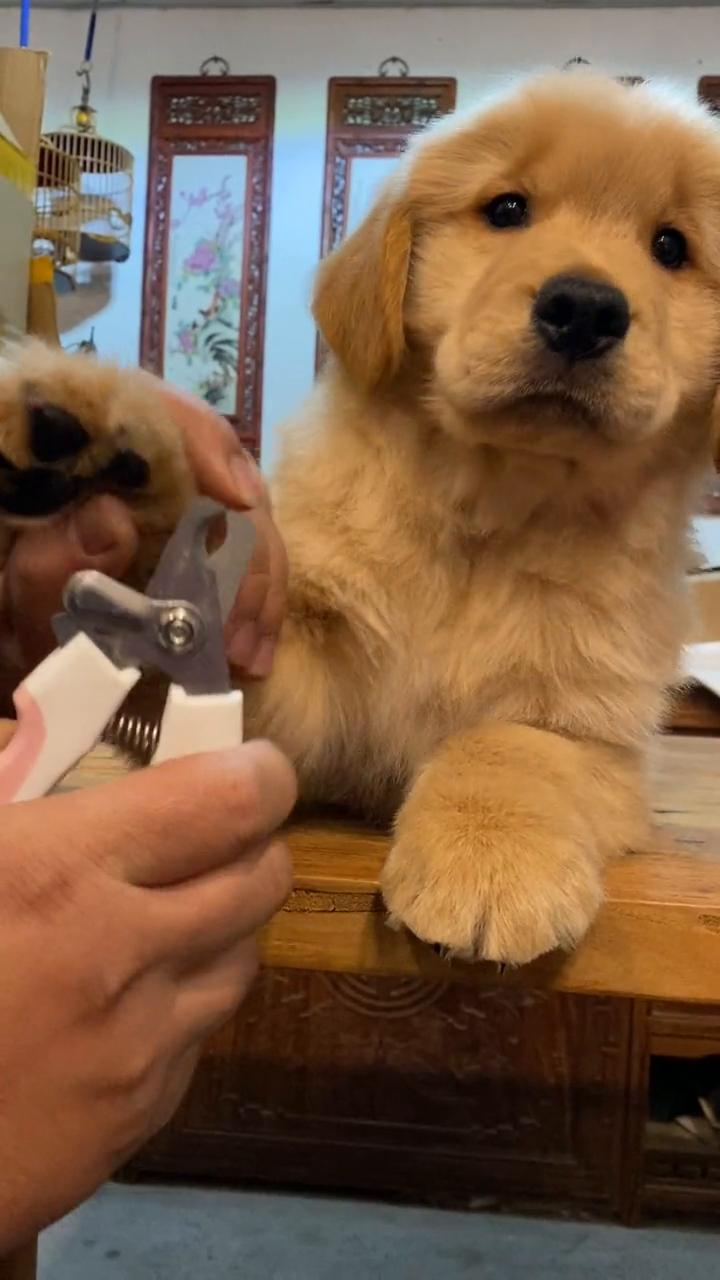 两个月小男孩,这样剪指甲都这么乖,你也太可爱了吧?