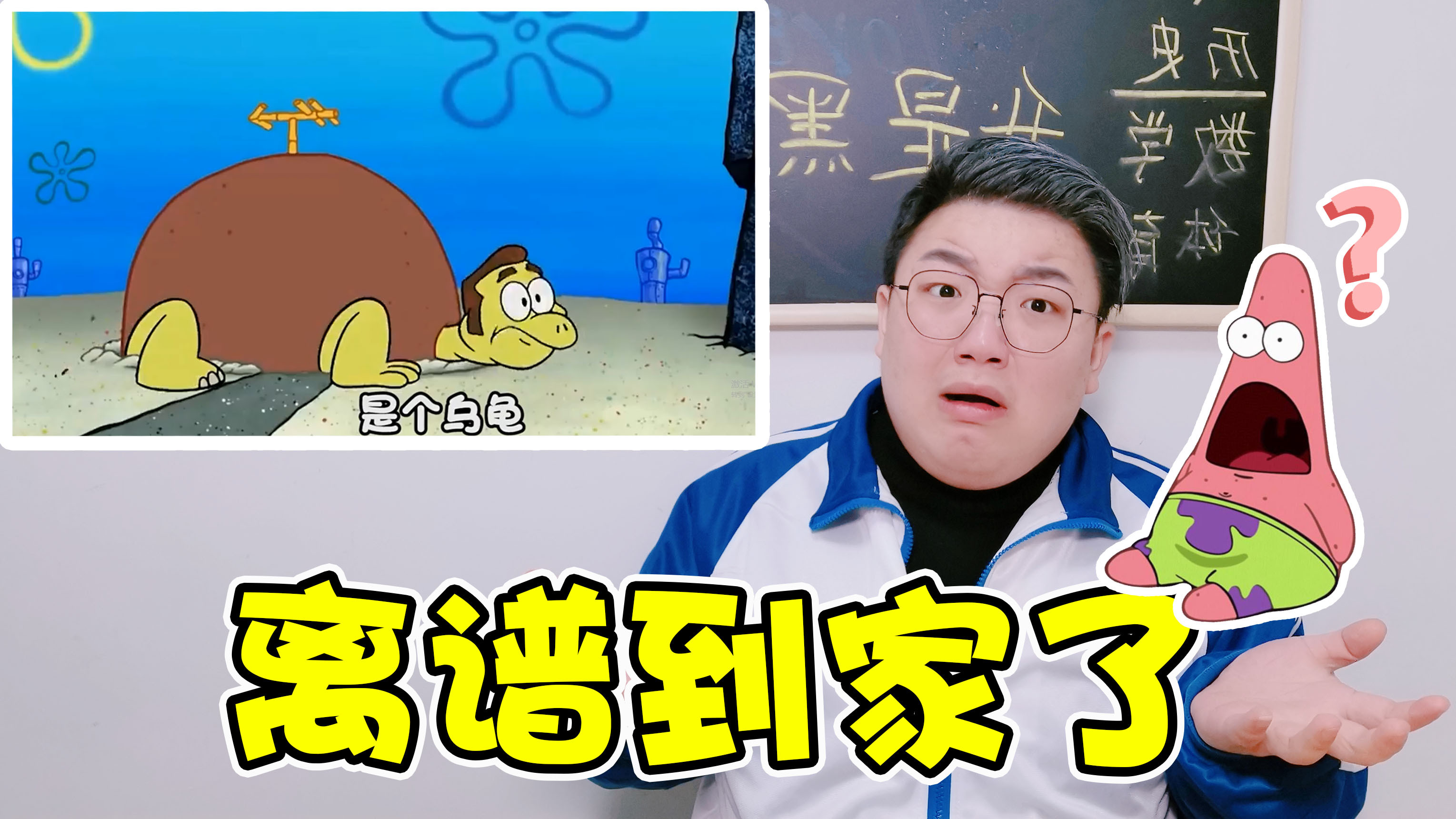 看起来不可思议又真实的事!派大星的房子是乌龟?太毁童年了