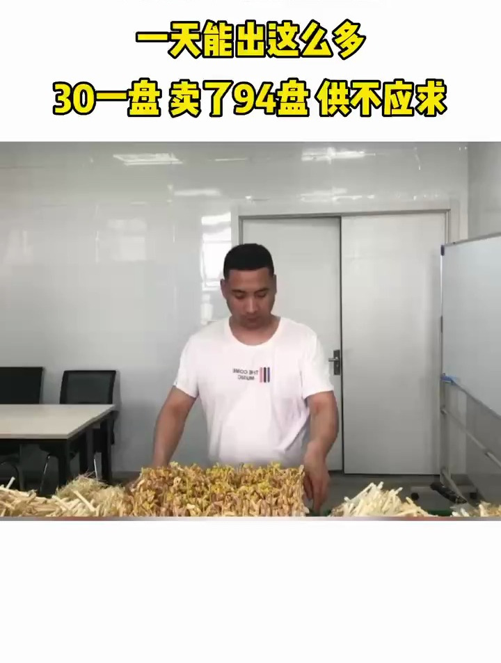 芽苗菜种植,适合各种人的种植业,不受季节影响