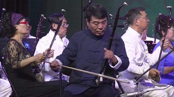 二胡协奏曲《苦菜花》,天津二胡演奏家演奏,经典动听