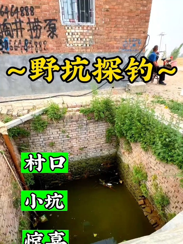 没想到,村头小坑化粪池里面全是宝贝啊