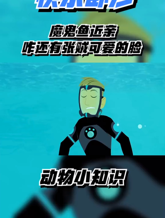 动物兄弟魔鬼鱼近亲下面长了个贼可爱的脸