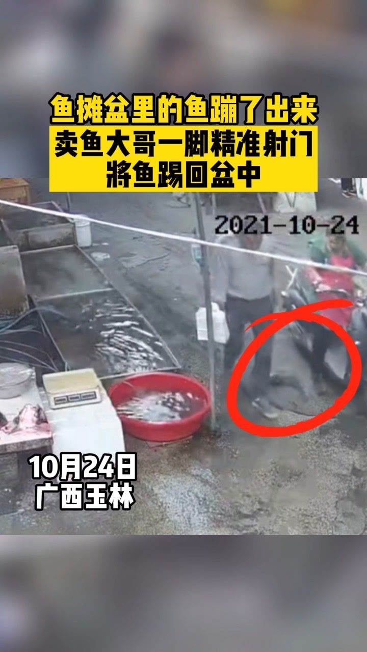 这是高手!一条小鱼跃出水盆,老板一脚又给踢了回去