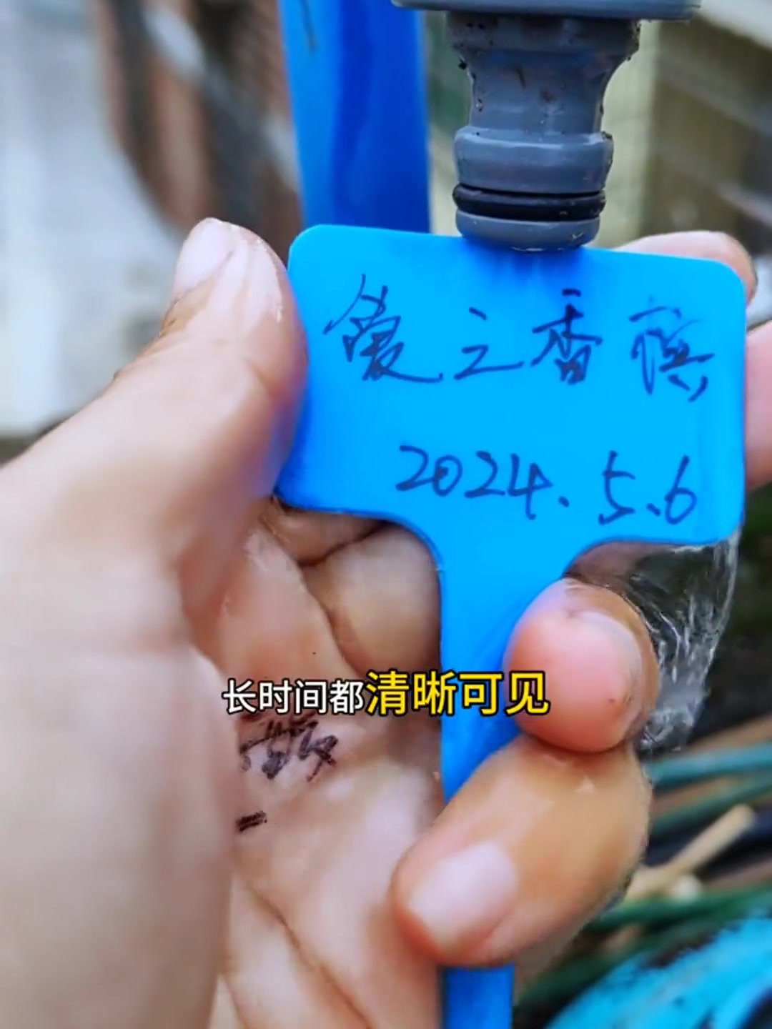 养花做的标记下次就知道这个是什么蔬菜了!