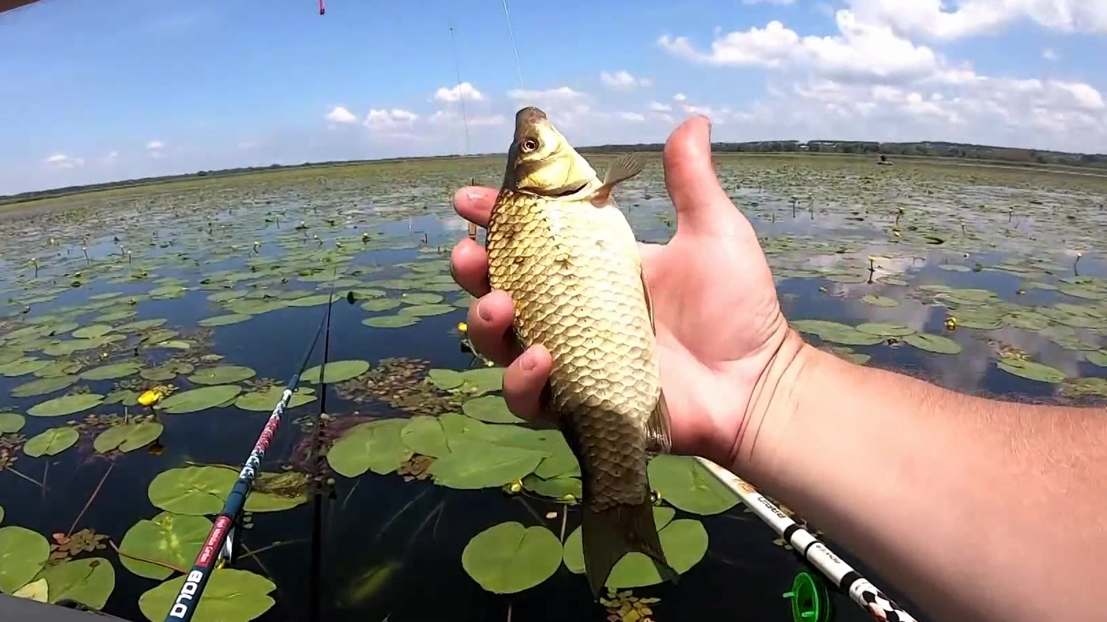 夏季闷热天气钓鱼,就用这3招来钓,让鱼儿抢着咬钩