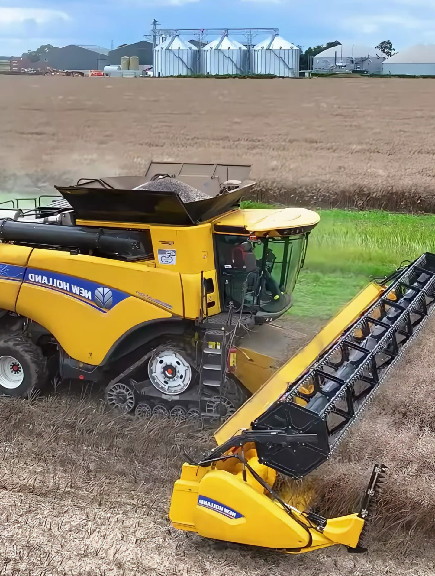 联合收割机收割油菜籽,效率很高