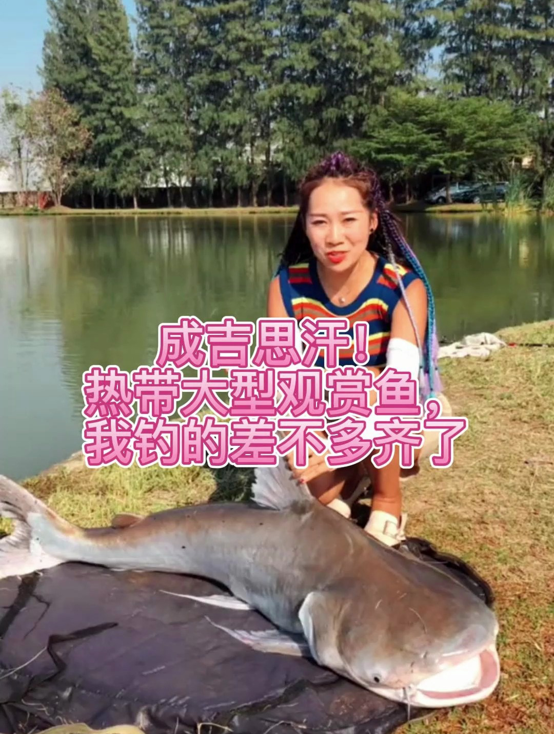 成吉思汗!热带大型观赏鱼,我钓的差不多齐了