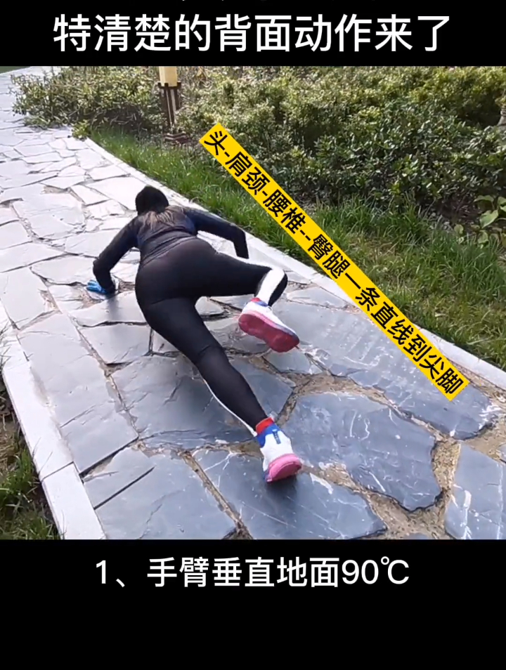 经典的鳄鱼爬这个背面动作太清楚了,一看就会