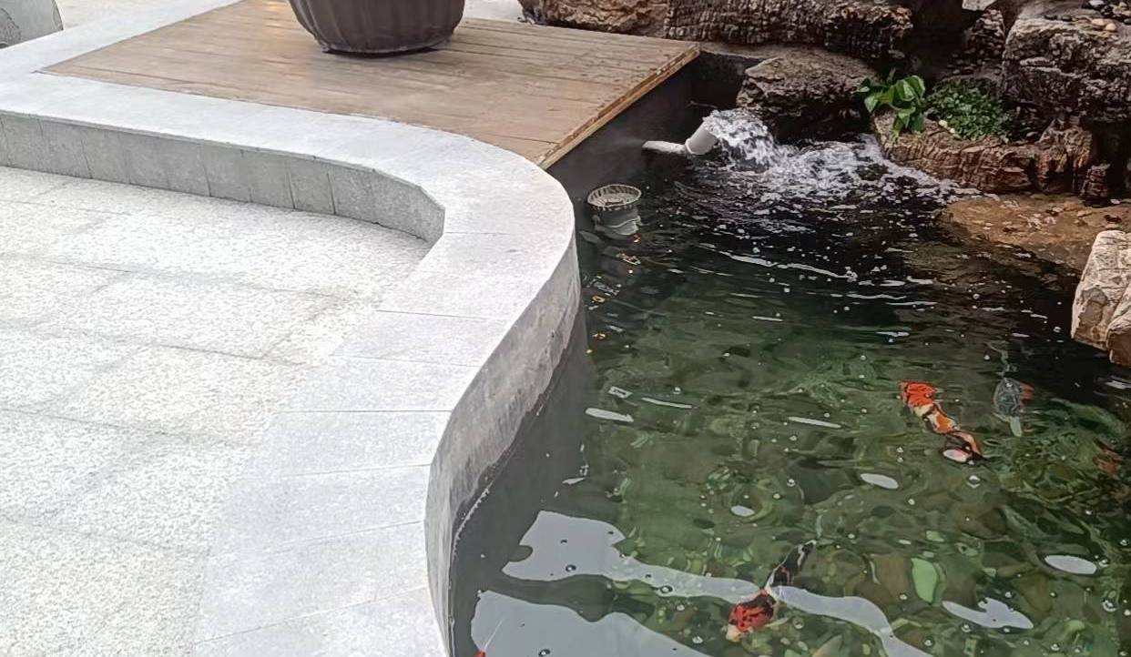 鱼缸青龙石草坪
